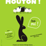 CECI EST UN MOUTON... bêêêh oui !