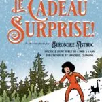 LE CADEAU SURPRISE