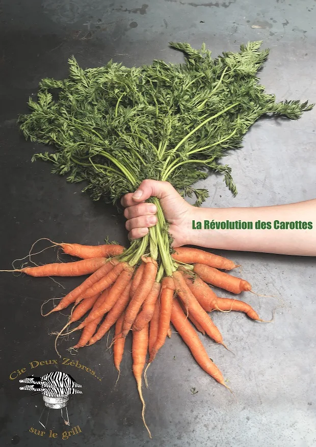 LA RÉVOLUTION DES CAROTTES