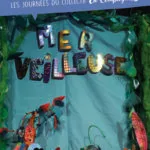 MER VEILLEUSE // SAMEdiMANCHE